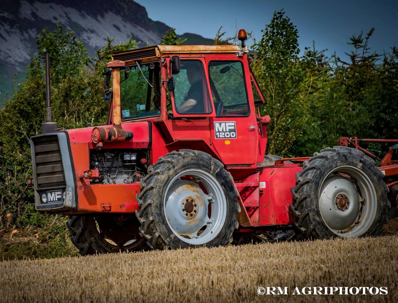 Pics: Eye-catching classic tractors turn the sod at Cooley ploughing festival