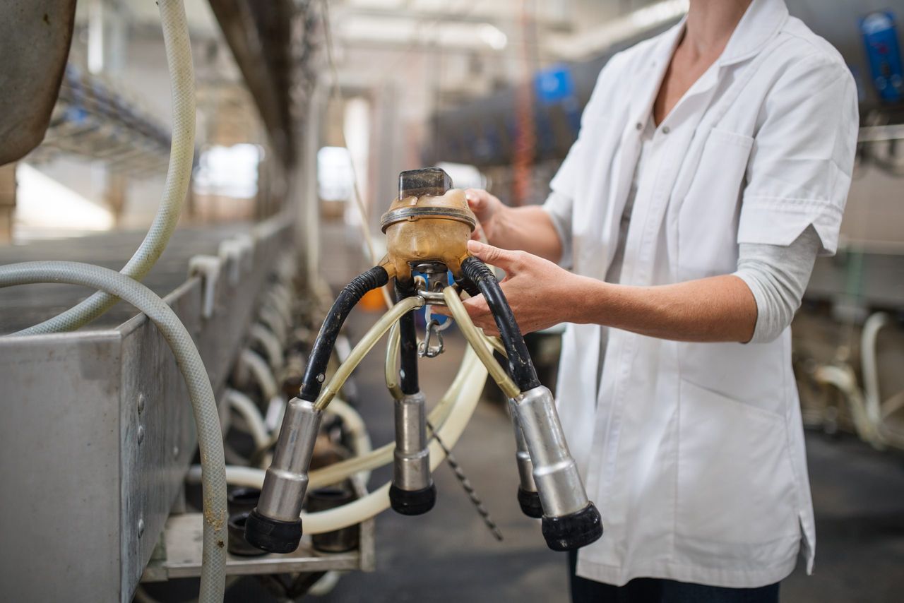 Rabobank: Milk production costs in Ireland 'have surged'