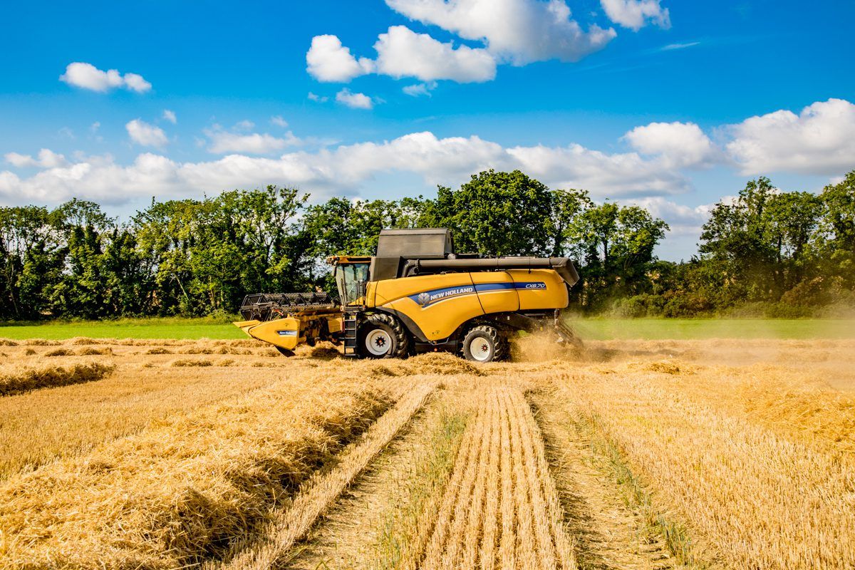 Grain price: Low maize yield may add to rise