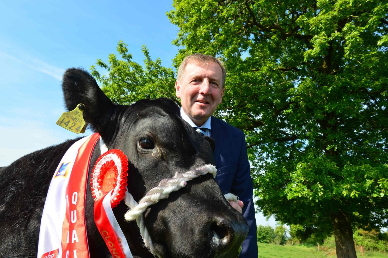 €17,500 up for grabs in the Aldi All Ireland Angus Bull Calf Championship