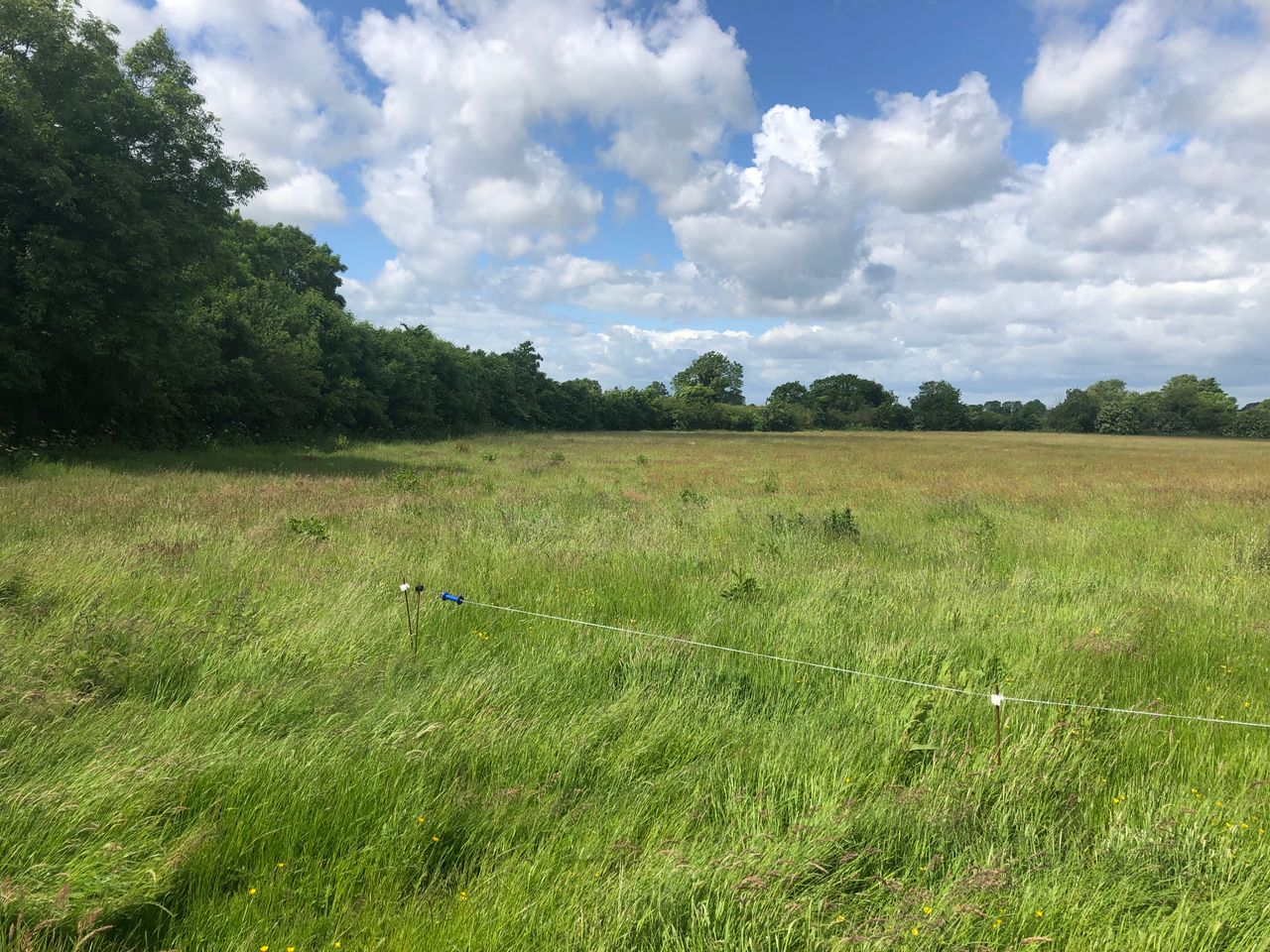 28ac Prosperous 'good quality land' for auction