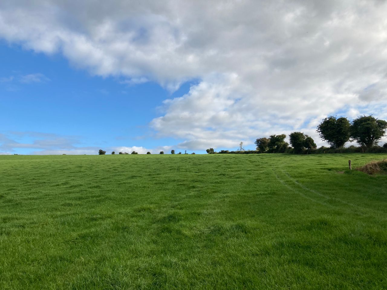 'Touch of boom activity evident in land sales amid uncertainty'