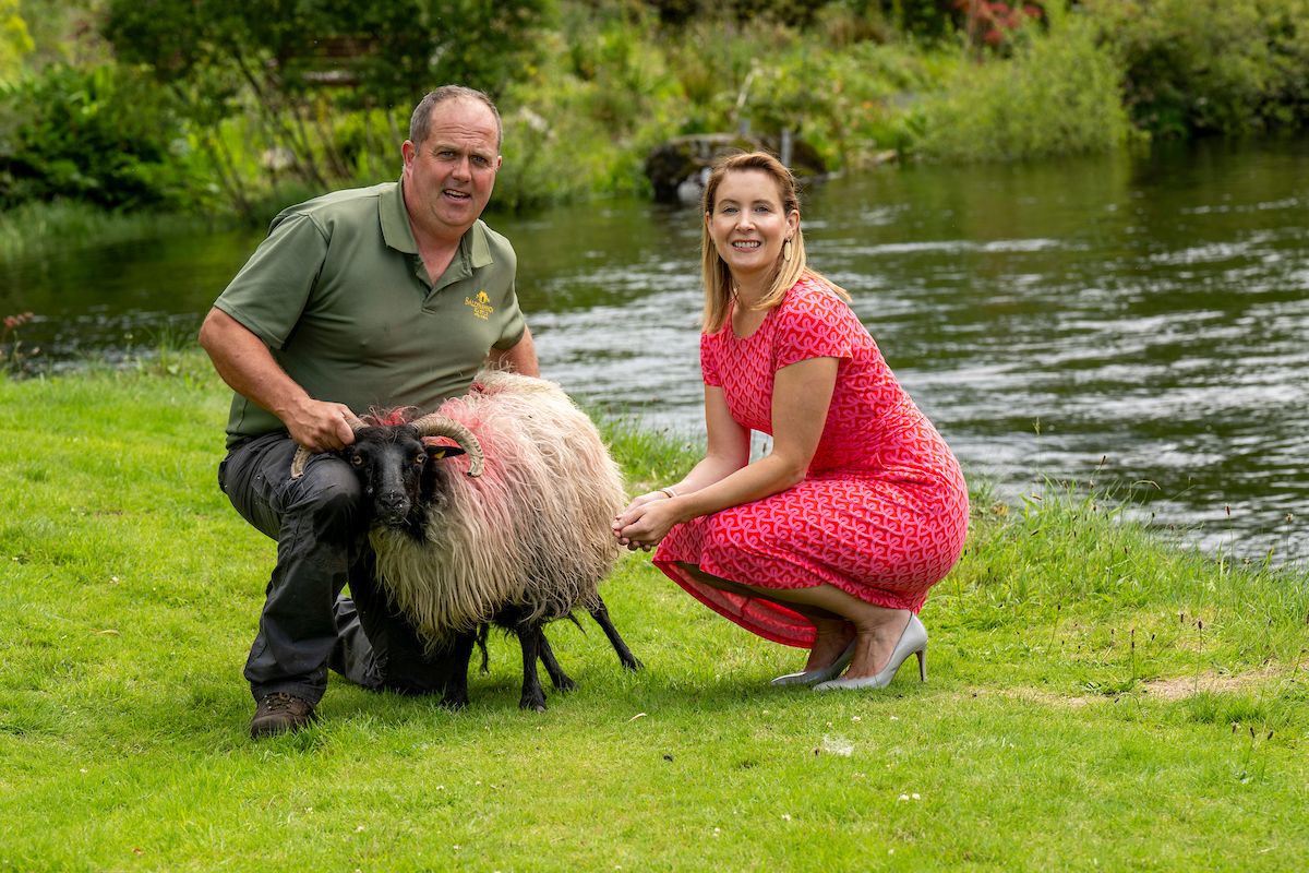 New trails highlight stories of sheep, wool and films in Connemara
