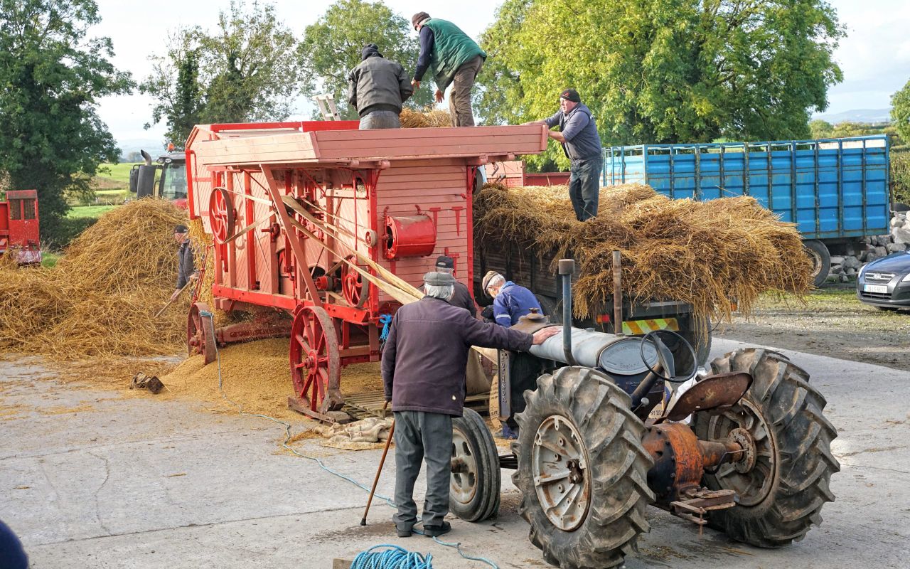 Focus: A family thresher brought back to life in Tipperary