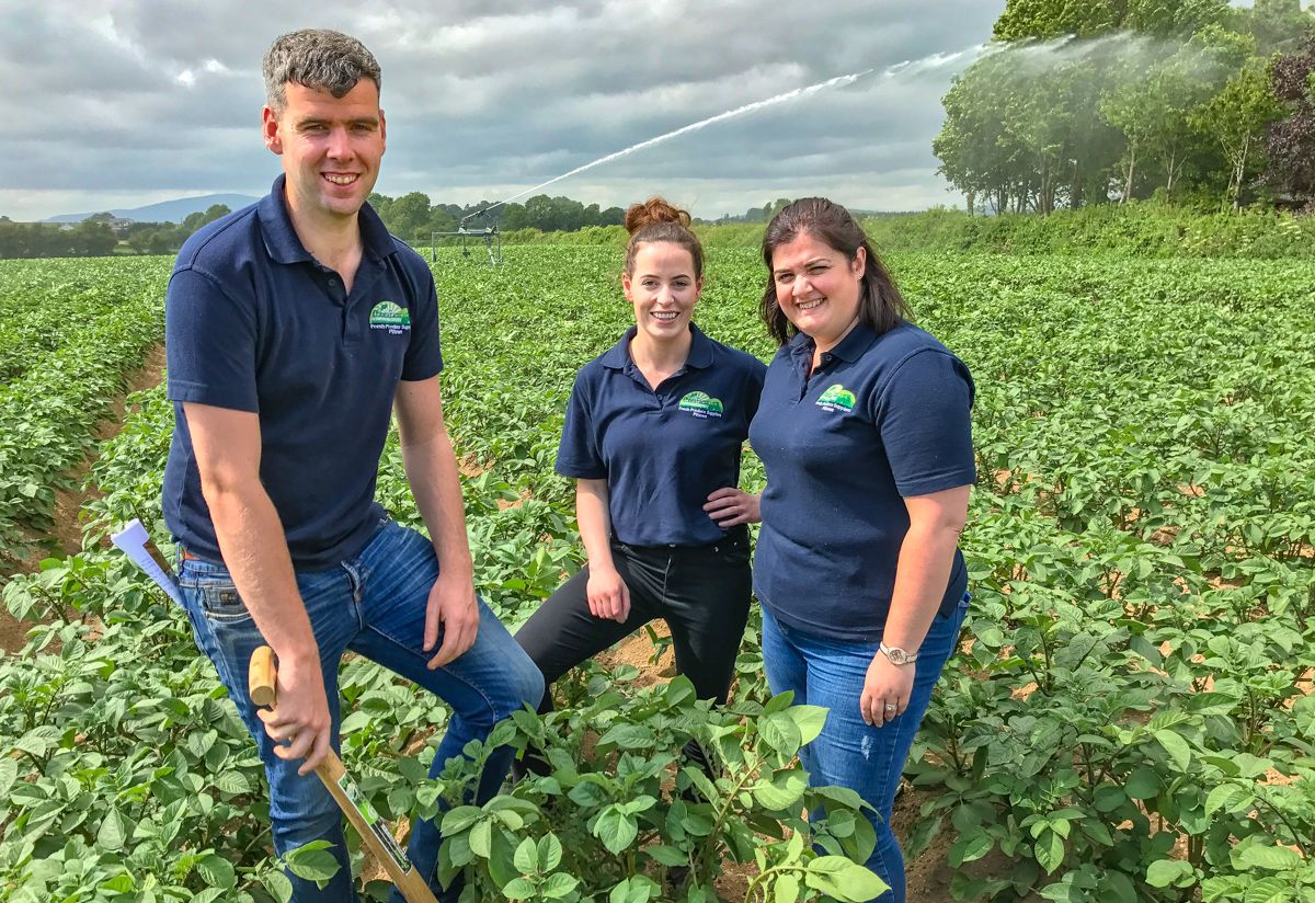 Tillage focus: 28,000t of potatoes from a family farm in Co. Kilkenny
