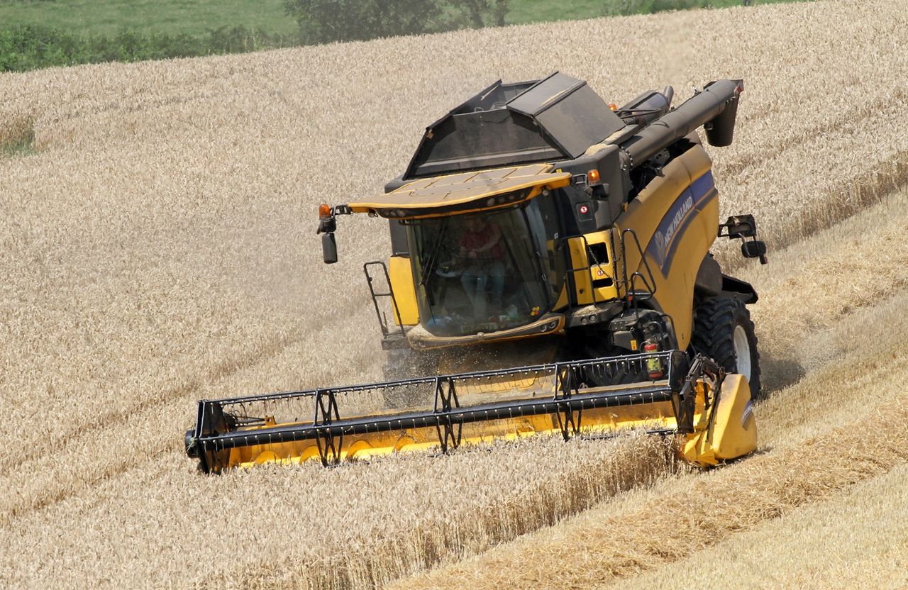 Harvest update: Weather halting progress