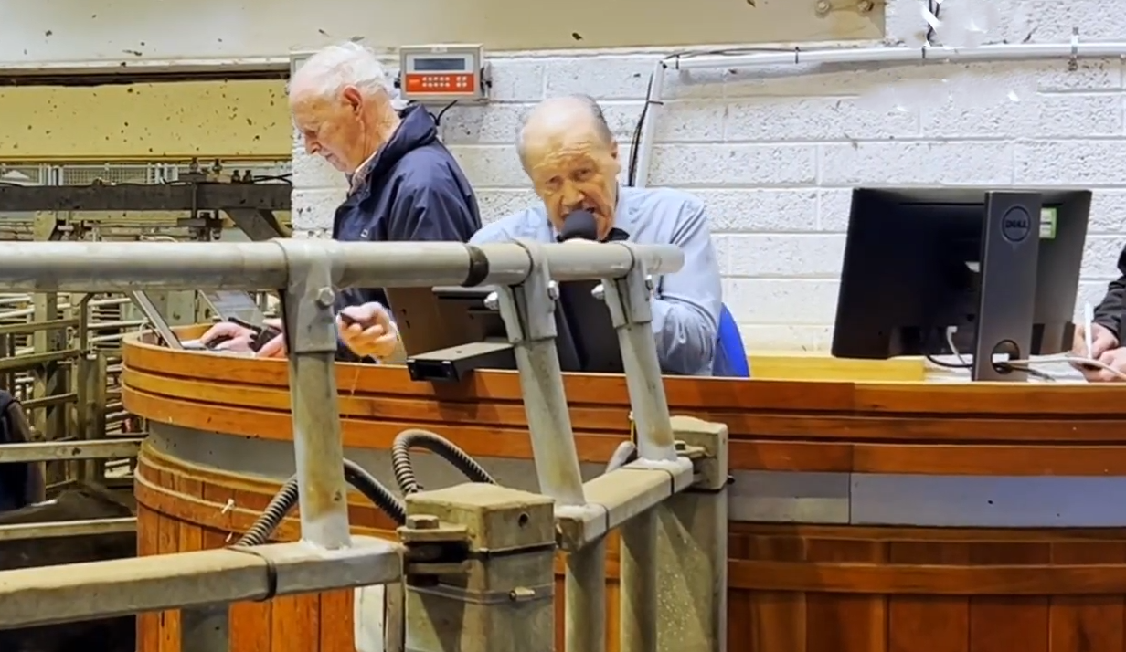 Mart report: Record-breaking €2.5m turnover at Kilkenny cattle sale