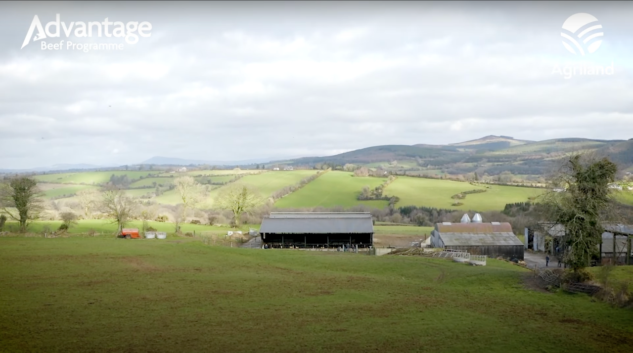 See inside the ABP demo beef farm in Co. Carlow