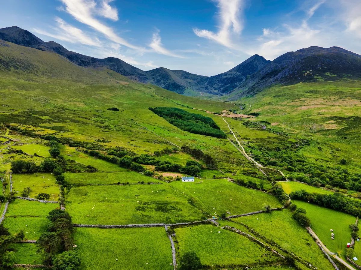 Farm close to Ireland's highest mountain sold at auction