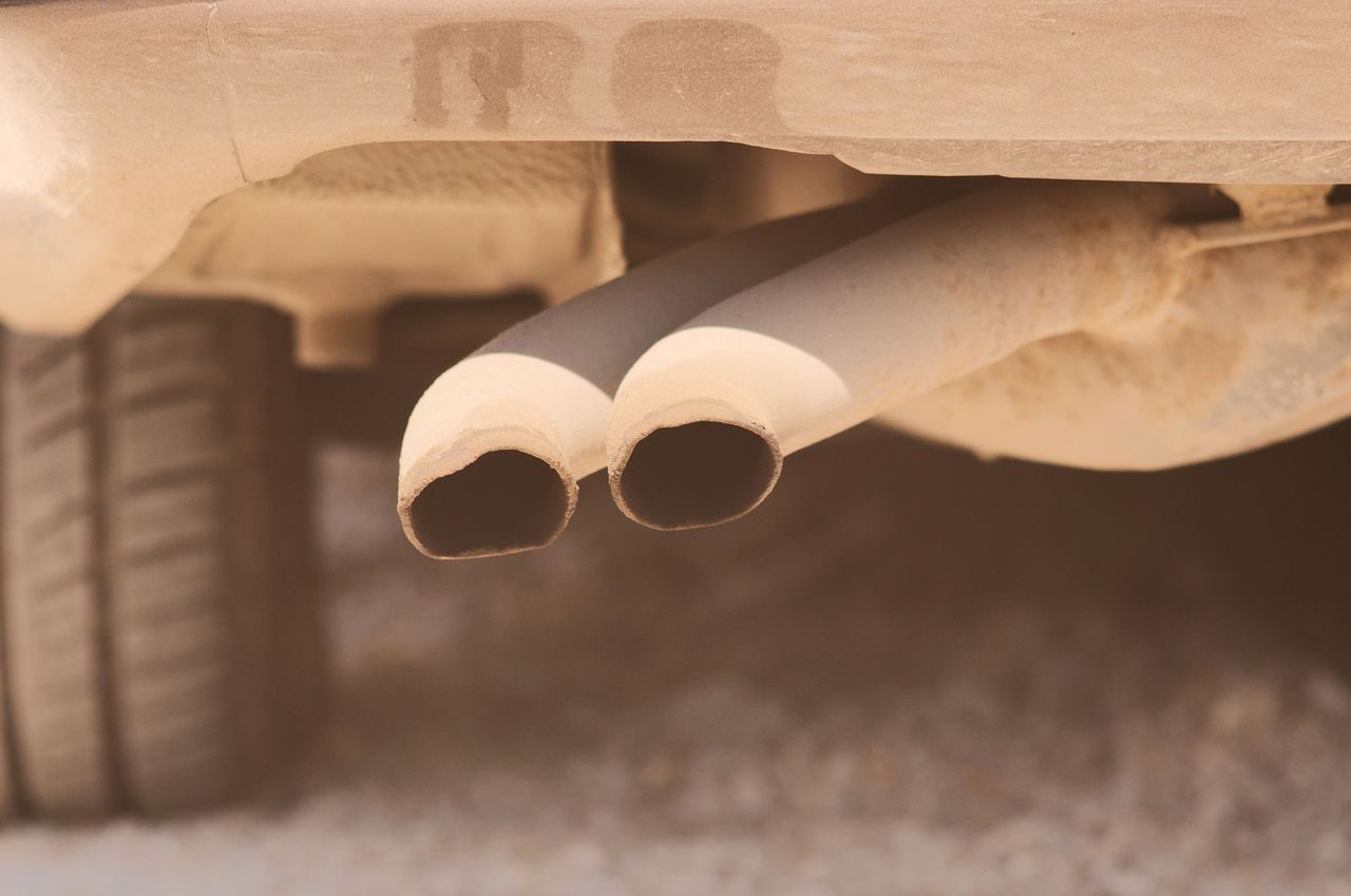 Letter to the editor: 'Cars, and not cows, are the culprit'