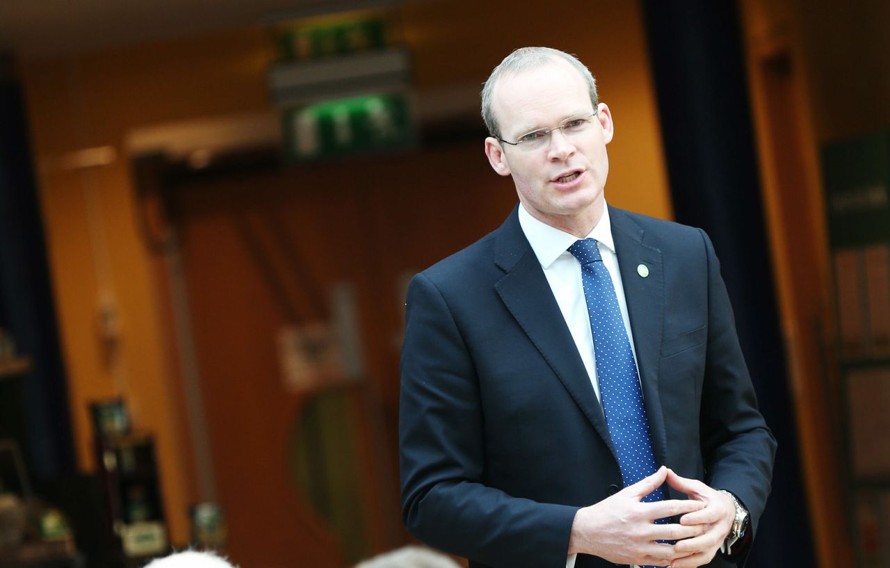 Coveney given 'boost' with MEP backing