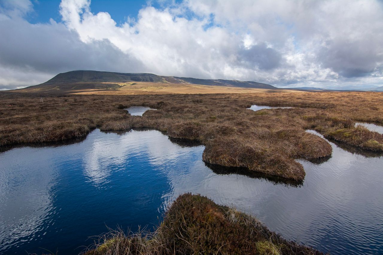 DAERA outlines delivery plan for NI's first peatland strategy