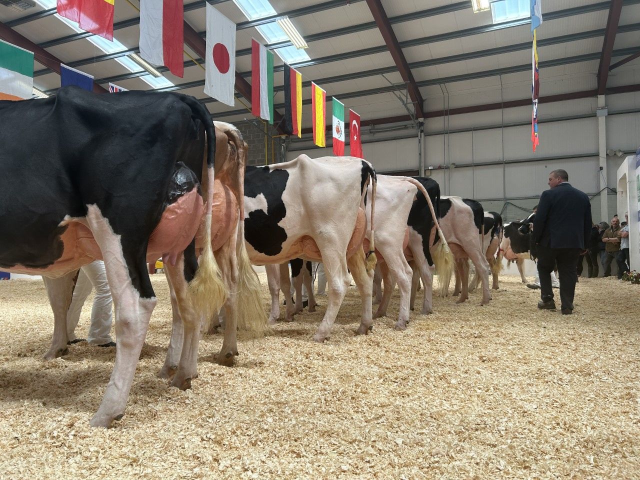 Countdown underway to Emerald Expo in Co. Cavan tomorrow