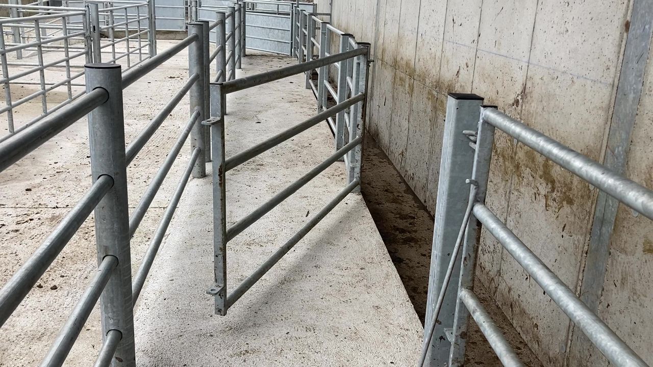 New TB actions due next month - minister