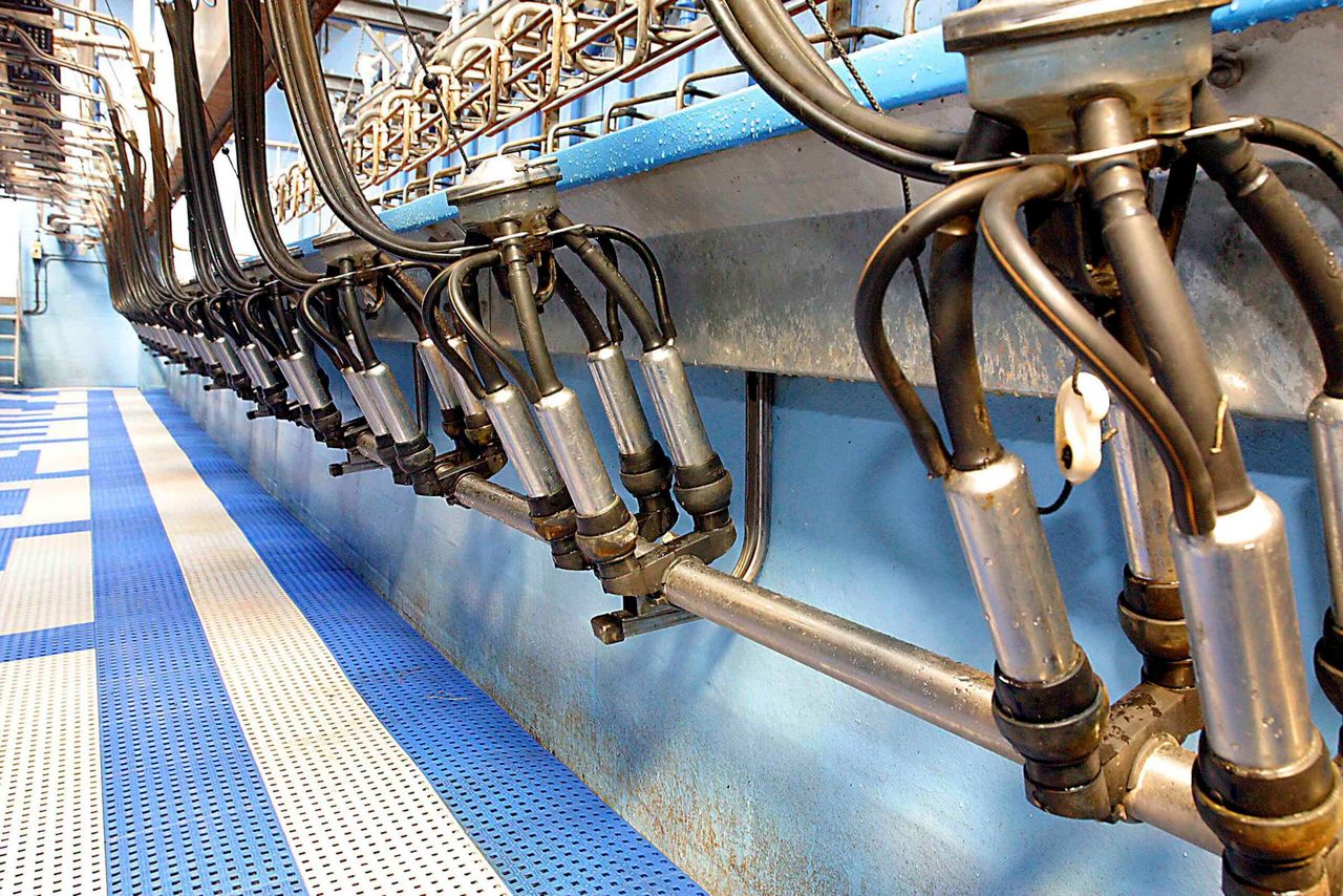 AHI issues warning on once-a-day milking