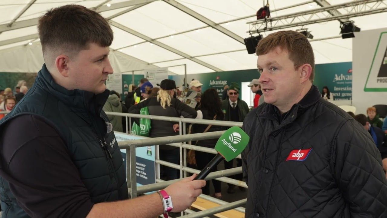 ABP at Ploughing 2026