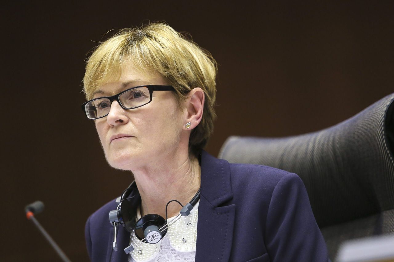 McGuinness: 'Climate shaming farmers is wrong'