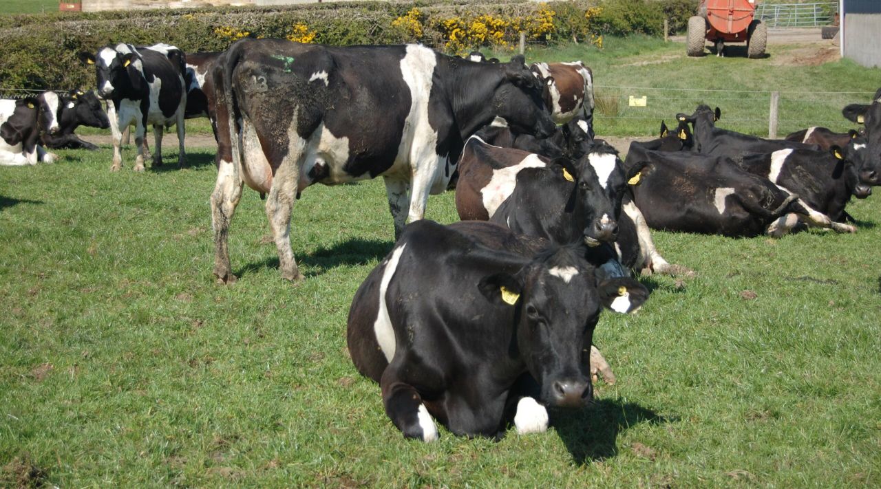 Dairy farmers - last nine months have been tough? Real problems to hit next spring
