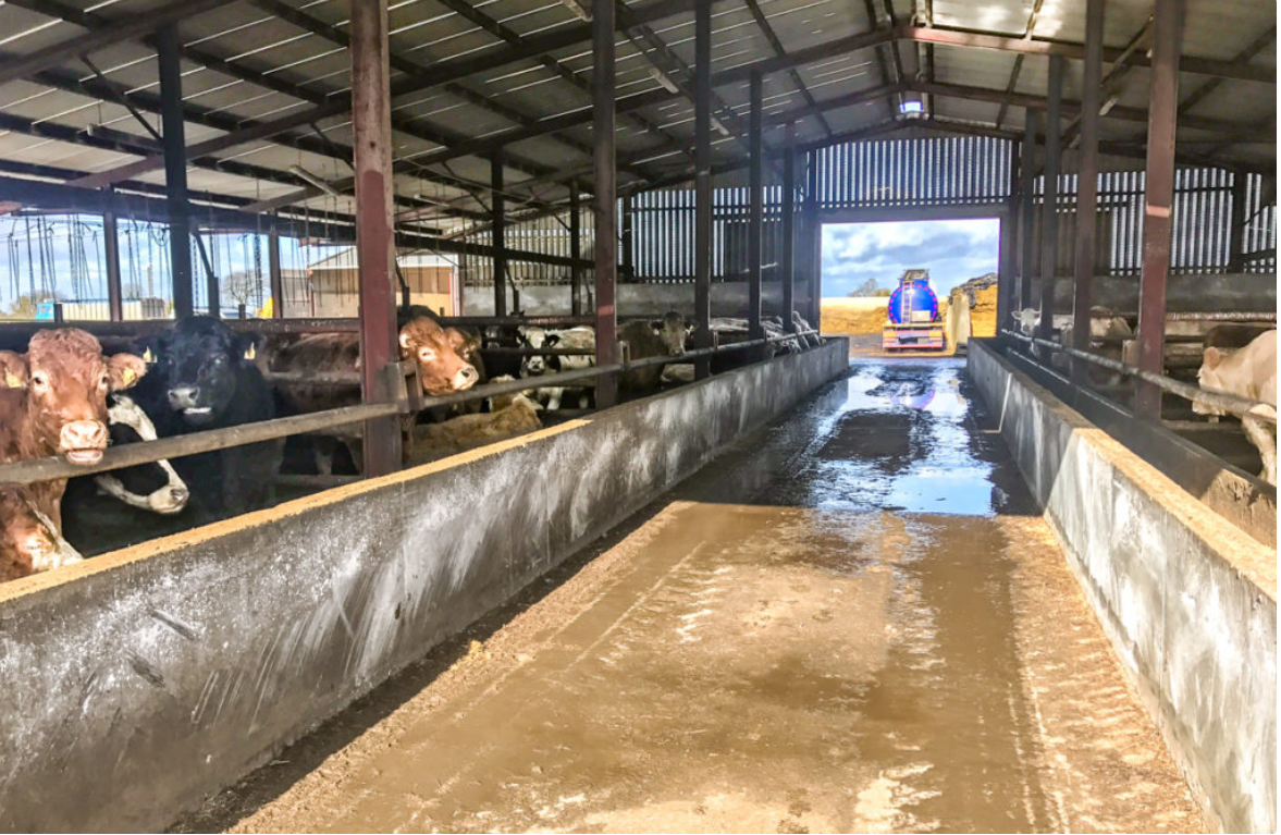 Department defined-feedlot kill up 7% so far this year