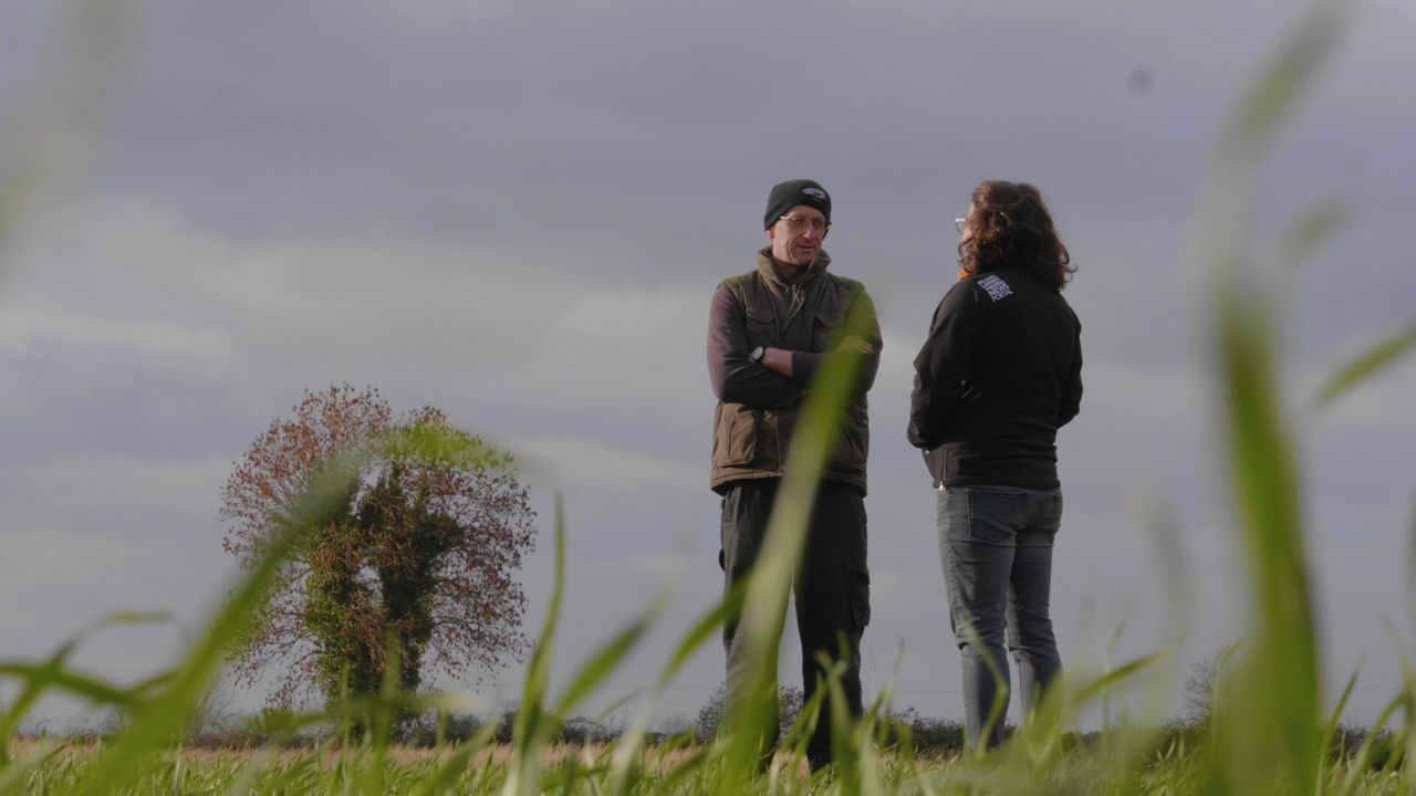 'We don't like to use fungicides unnecessarily'
