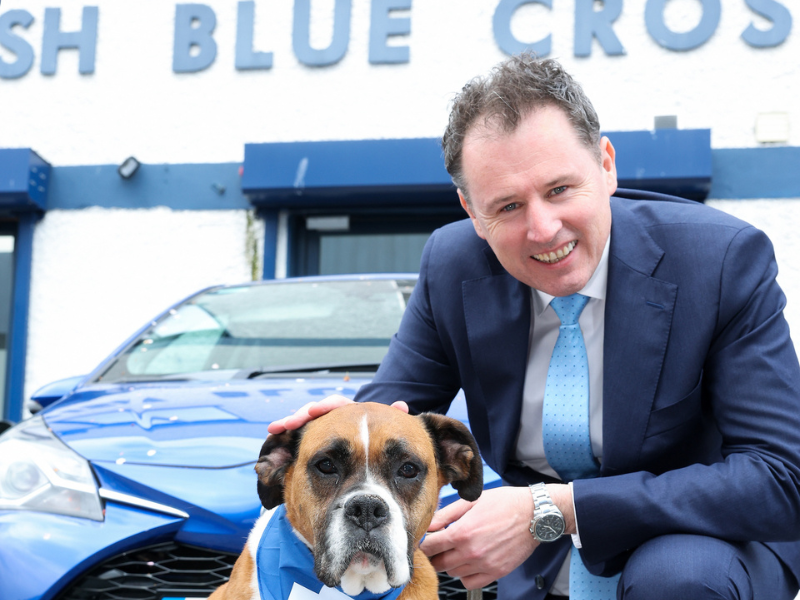Remote control electronic shock collars for dogs to be banned