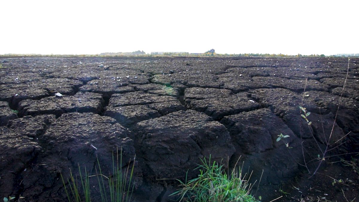 Department says EU didn't fully consider Irish efforts on peatlands