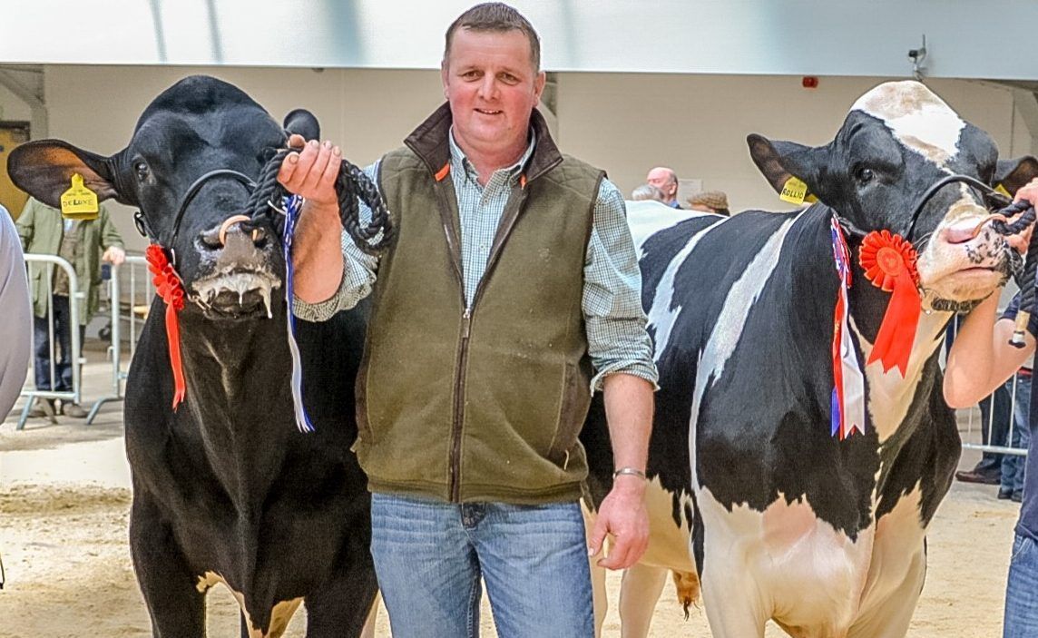 Final call for entries to this year's Baileys Cow competition