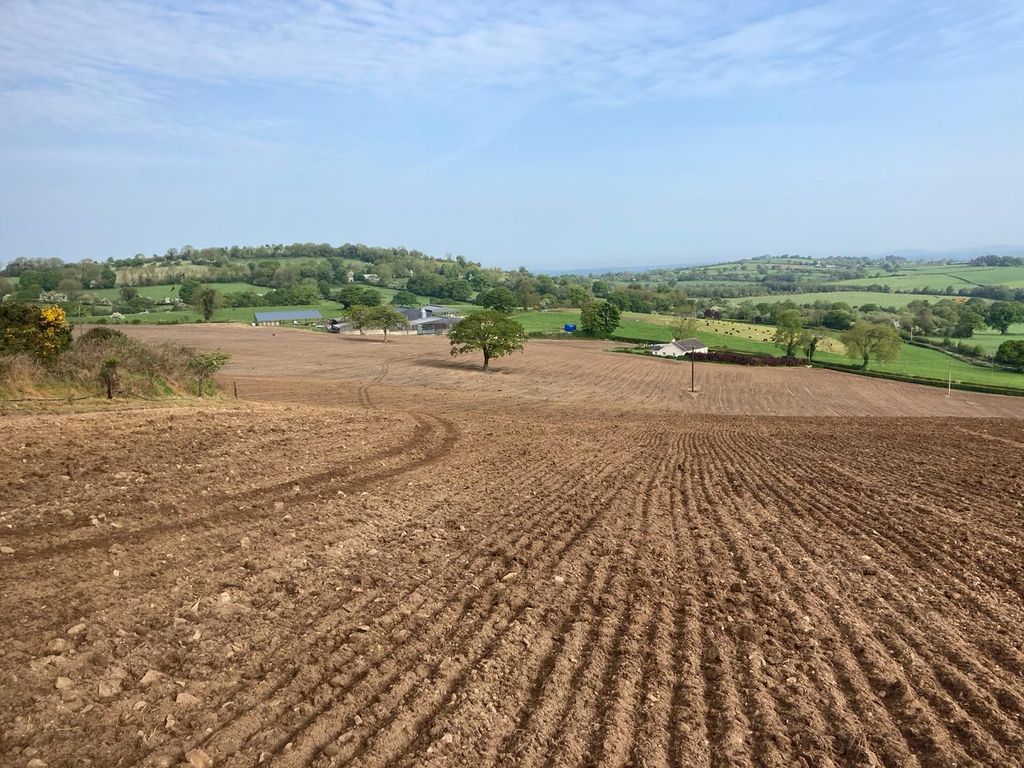 Some of the ground which has been reseeded on the ABP Demo Farm