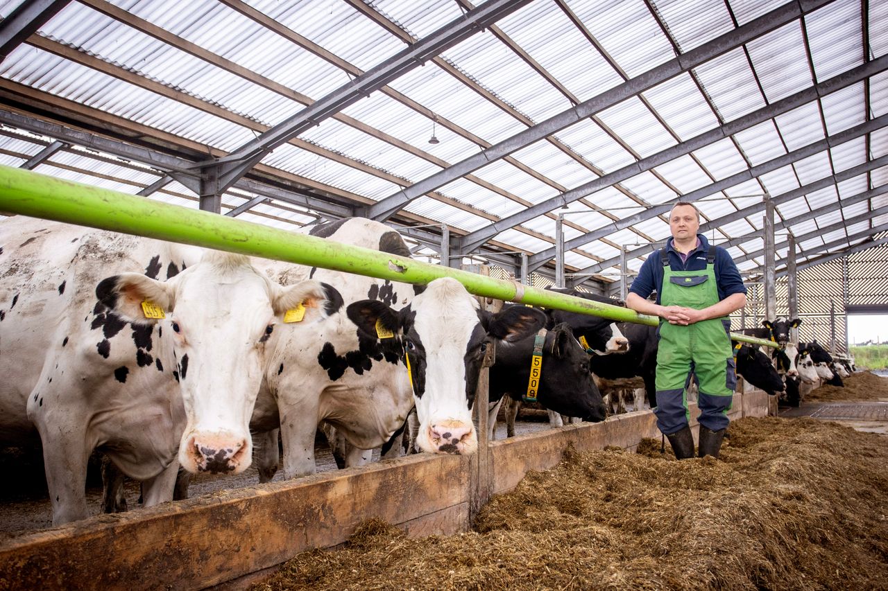 Research on Antrim farm identifies heat stress in animals