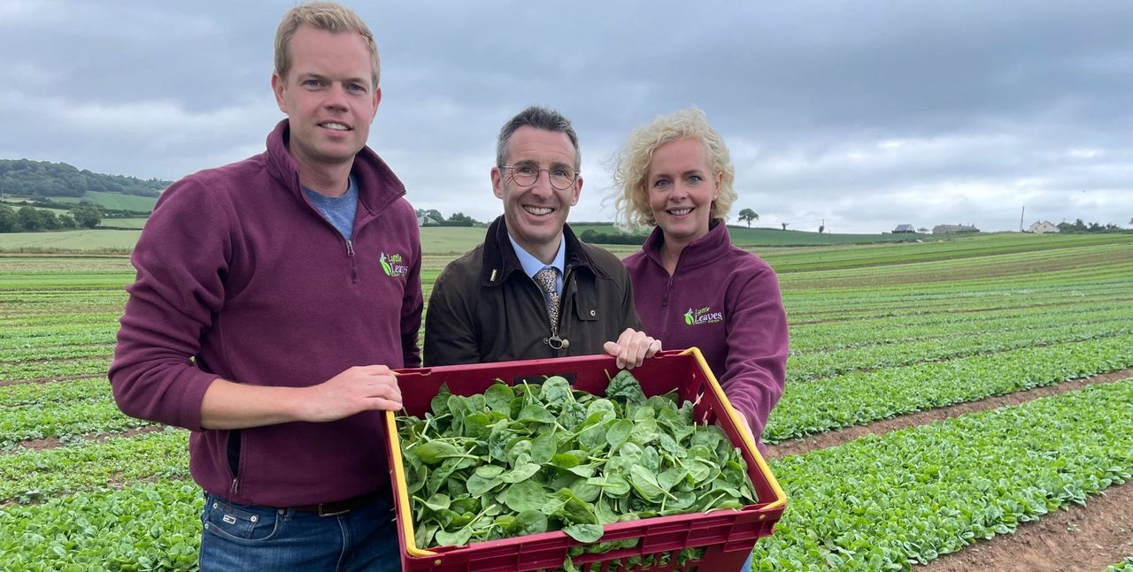 Expressions of interest open for NI Horticulture Pilot Scheme