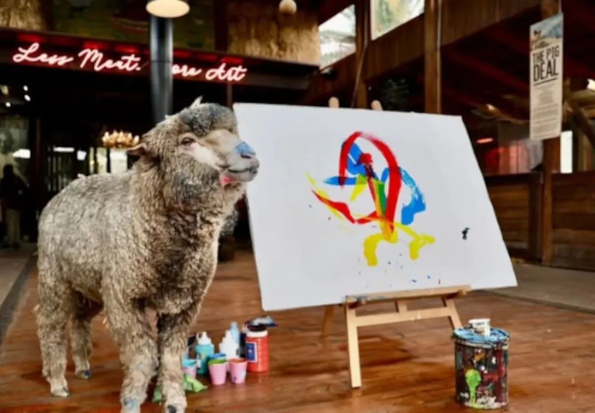 Sheep painting prodigy 'Baanksy' reportedly kidnapped