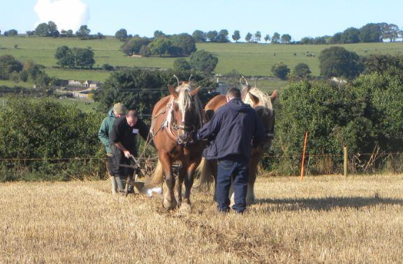 National Ploughing Championships heads to Offaly for 2016