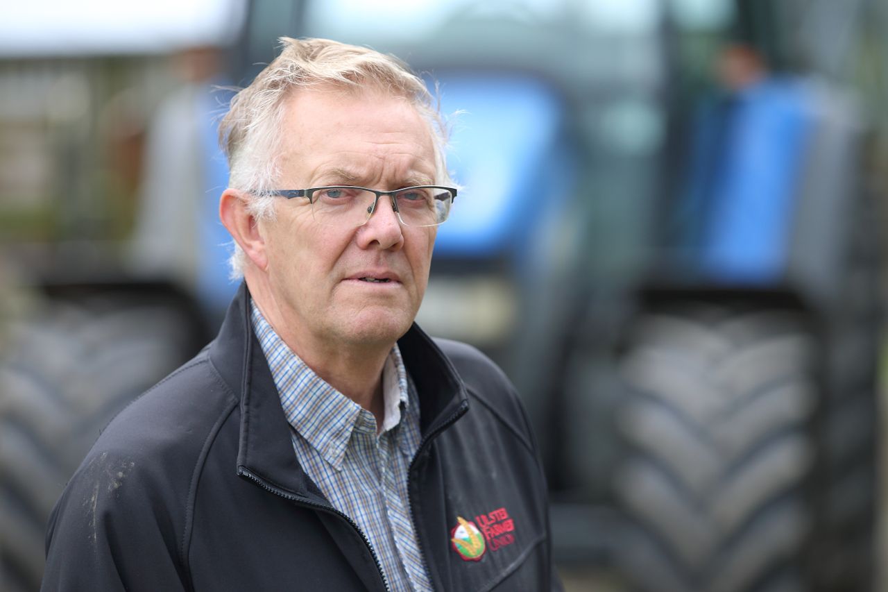 UFU not anticipating no-deal Brexit dairy cow cull