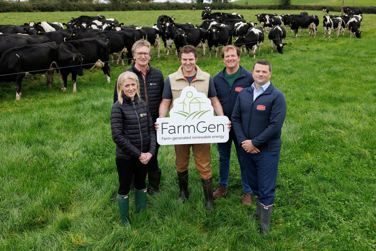 Tirlán and Dairygold join forces to expand solar PV programme