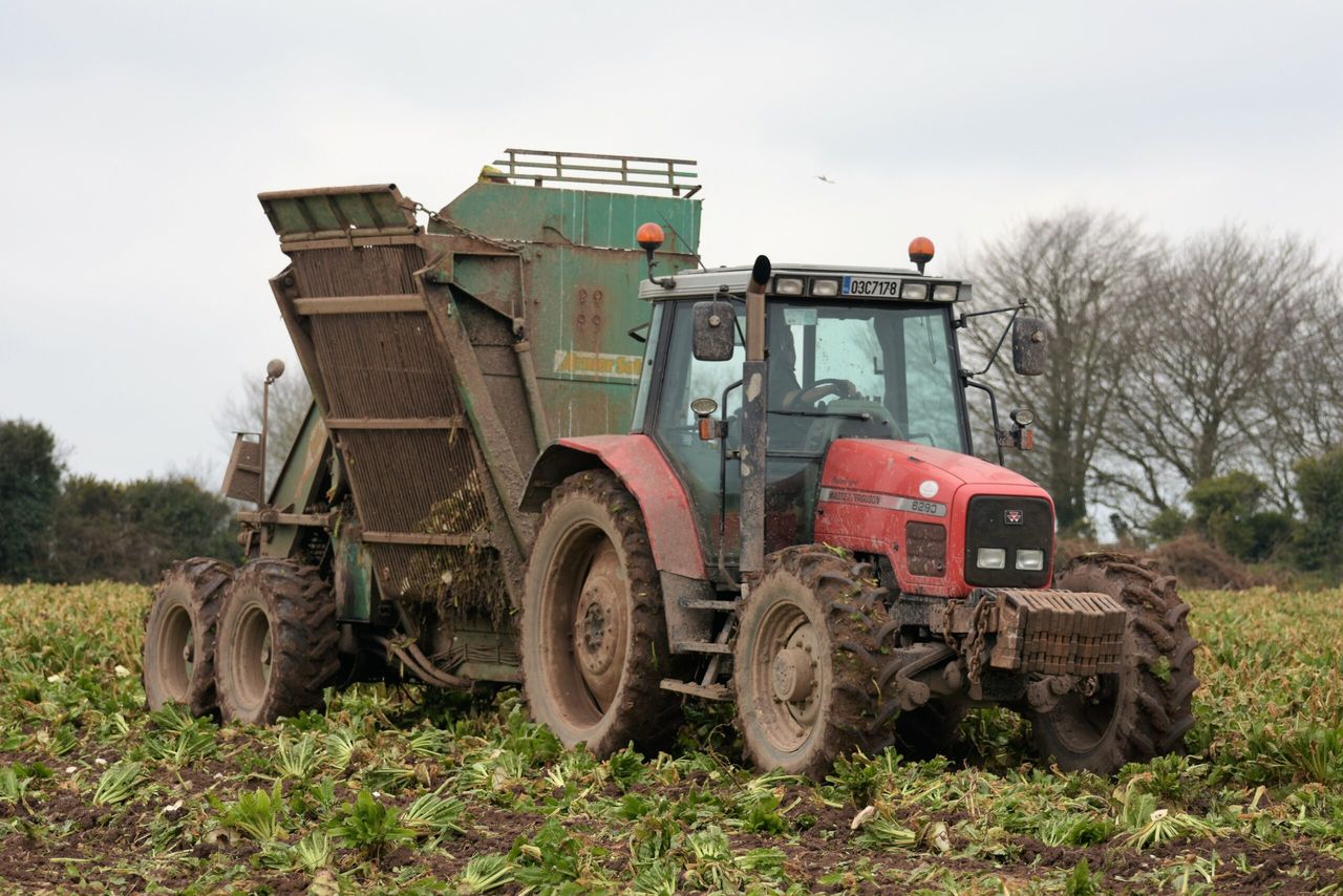 Field work underway in many places