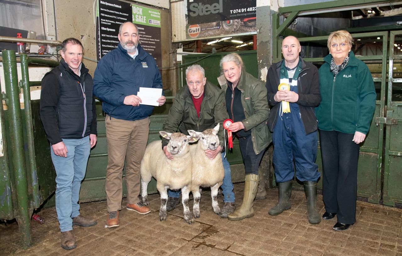 Raphoe Mart Easter lamb show and sale tops €360/head