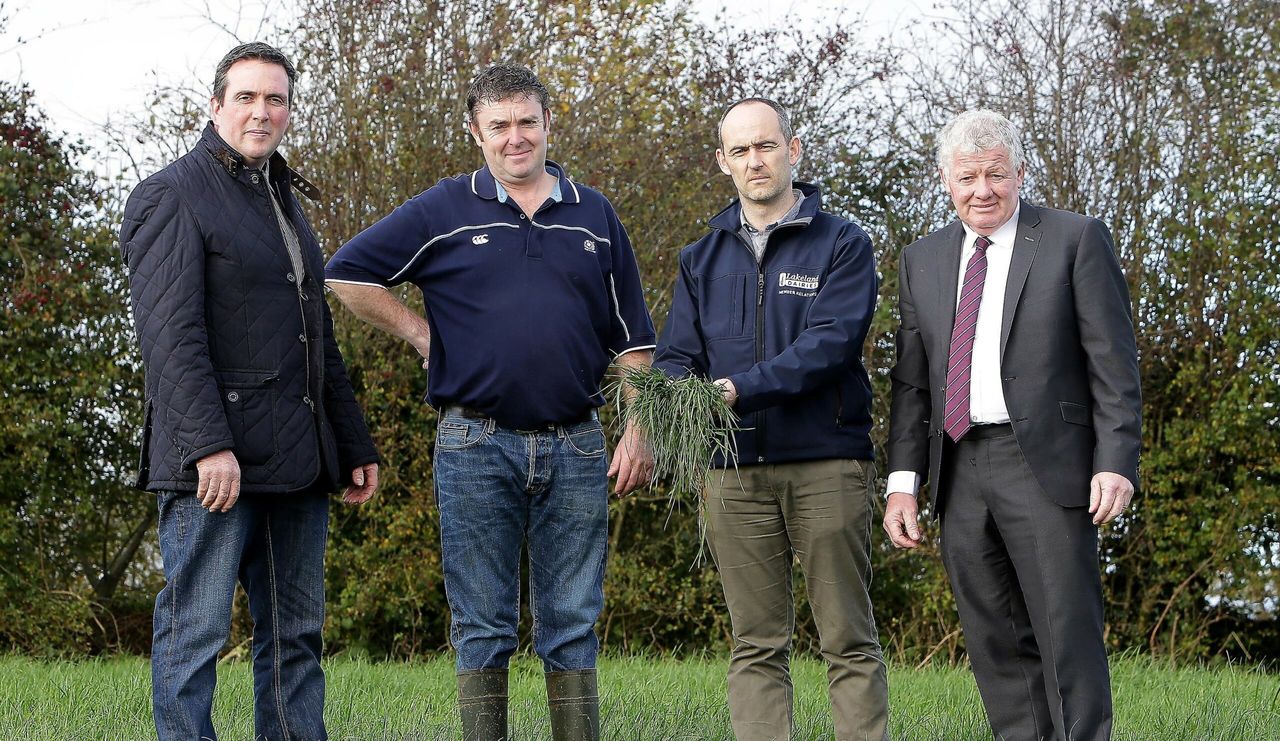 New Lakeland scheme to maximise farmers' profits and efficiency