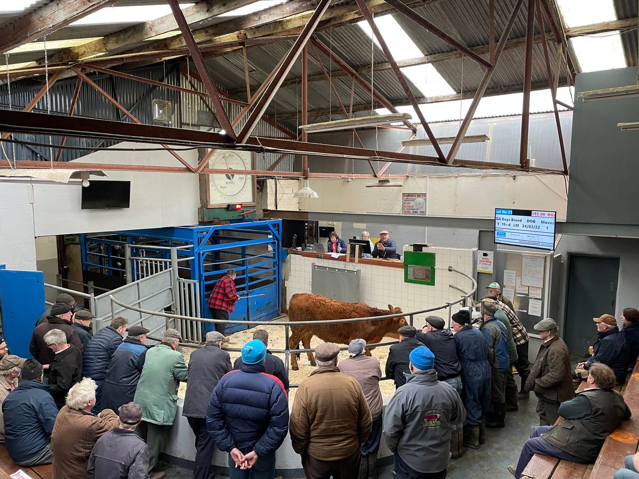A look at the mart trade for cattle countrywide this week