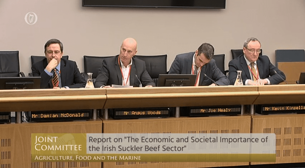 Irish suckler sector 'at critical juncture' amid income worries
