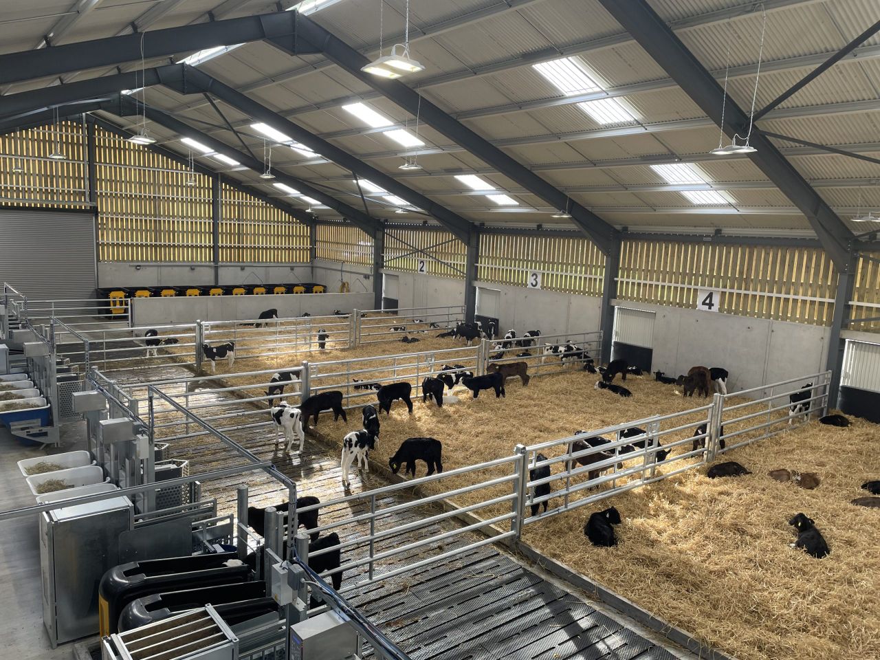 Research update from new UCD calf-rearing facility