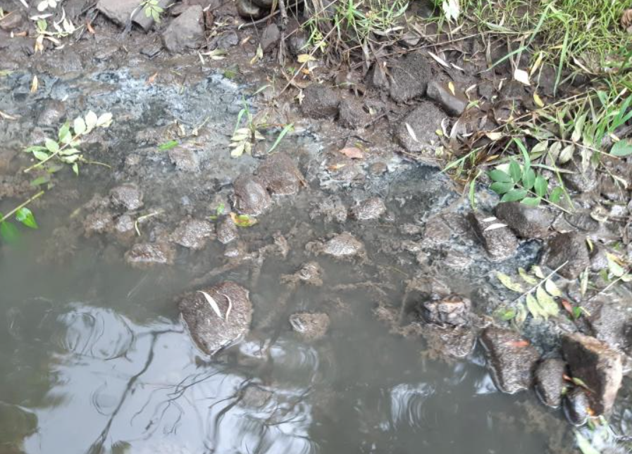 Uisce Éireann fined €3,000 for pollution of Sligo river - IFI