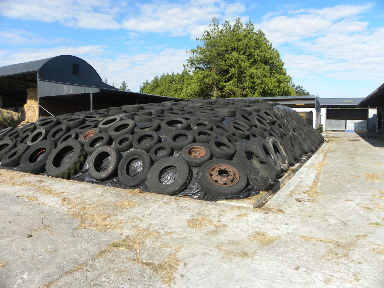 4 ways to boost fodder reserves on your farm for next winter