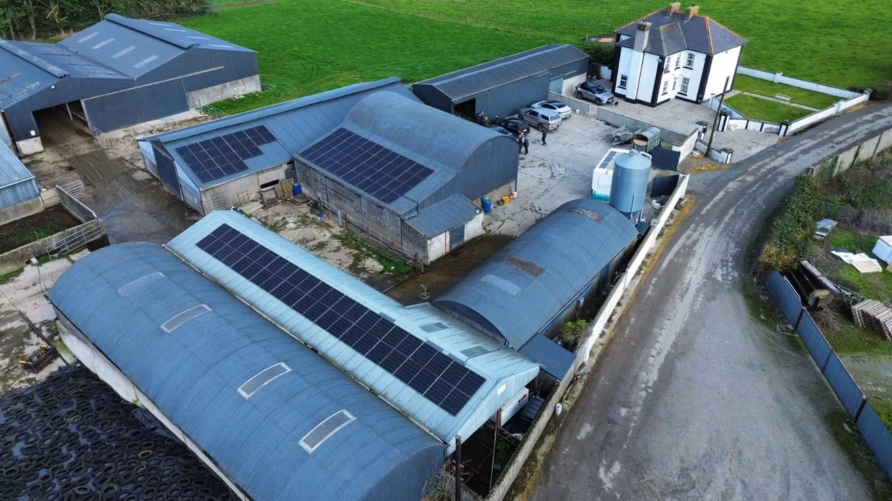 Tipperary dairy farmer slashes electricity costs with solar and batteries