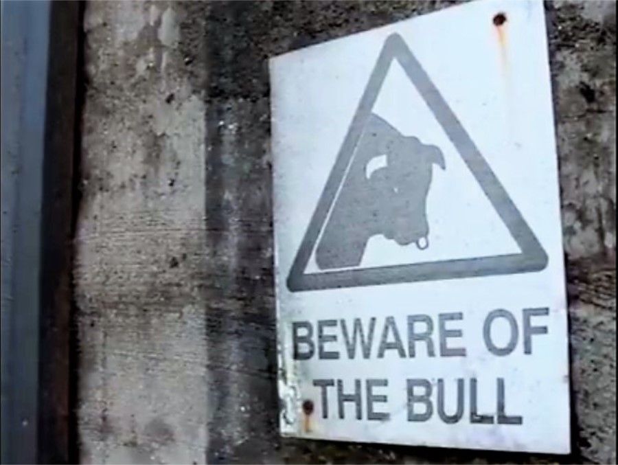 'It was like a bus hit me': Stark safety warning following bull attack