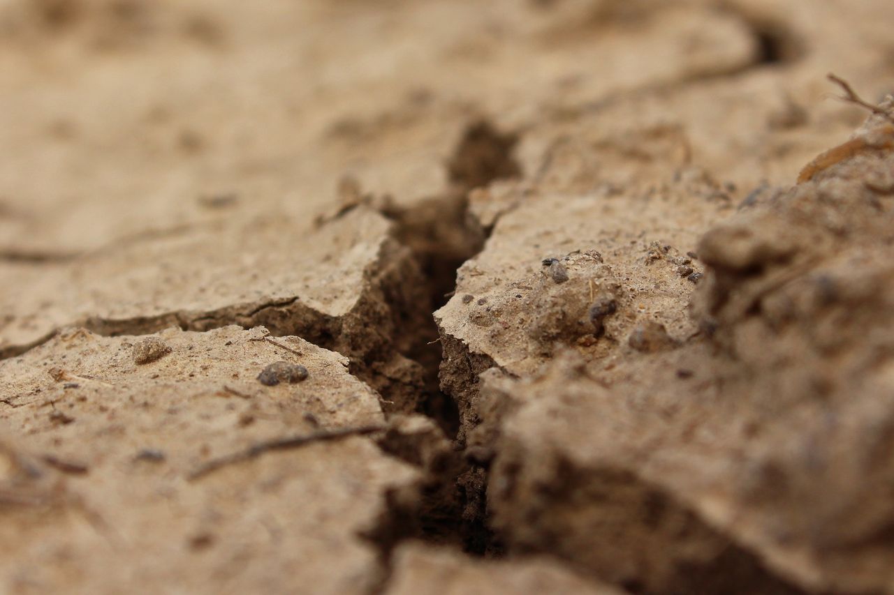 Minister announces €28.9m funding to tackle global food insecurity