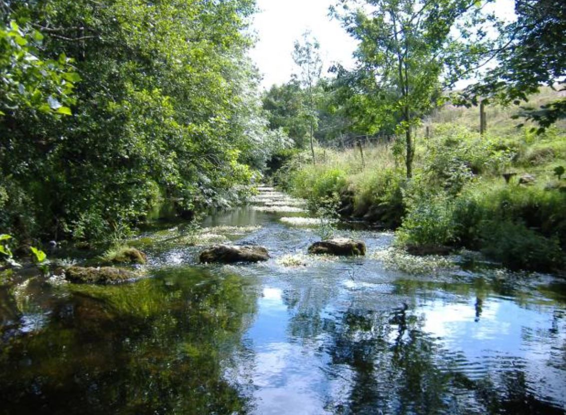 River trust offers 75% grant to farmers in Ballinderry catchment