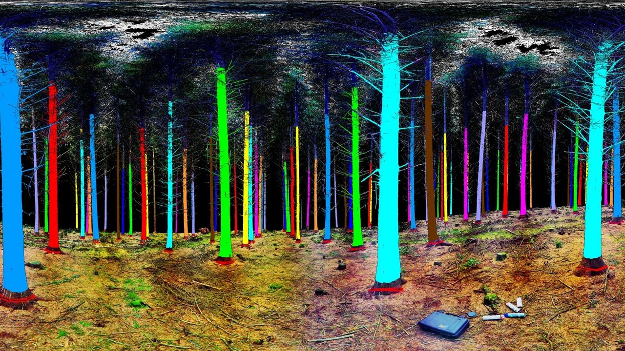 Treemetrics signs €1.2m contract with European Space Agency