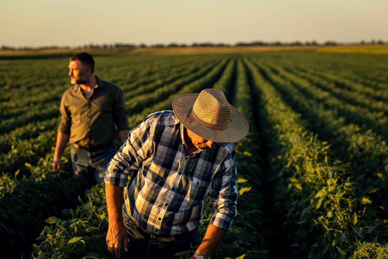 US National Ag Week marked with $10bn funding package for agricultural producers