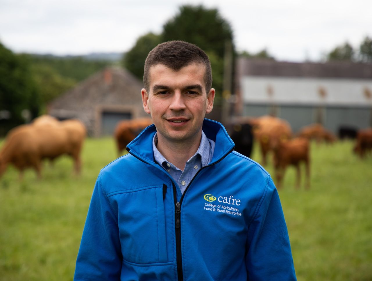 Advice: Suckler herd fertility - getting cows back in calf