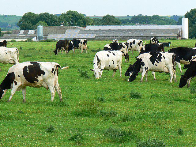 'The right technology fuels dairy expansion sustainably'